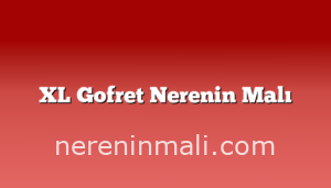 XL Gofret Nerenin Malı