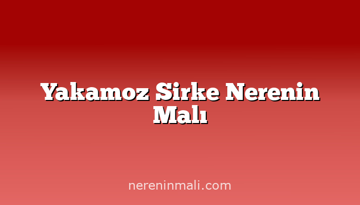 Yakamoz Sirke Nerenin Malı