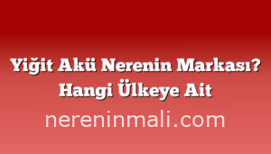 Yiğit Akü Nerenin Markası? Hangi Ülkeye Ait