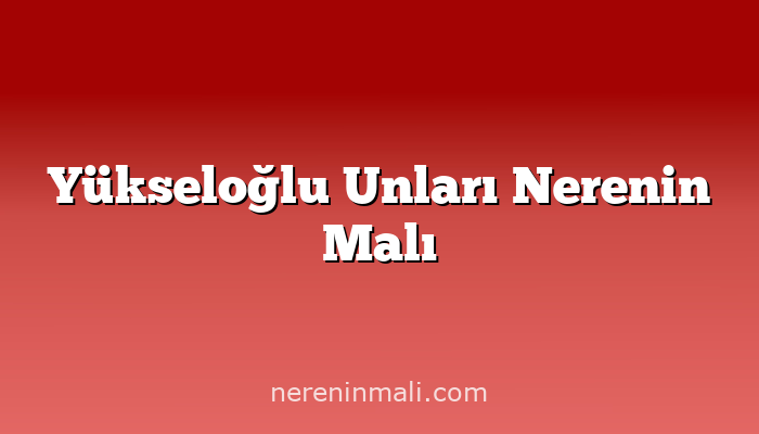 Yükseloğlu Unları Nerenin Malı