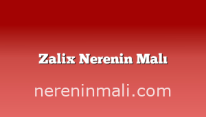 Zalix Nerenin Malı