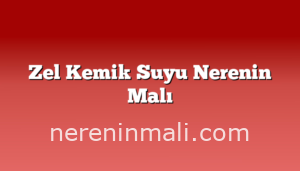 Zel Kemik Suyu Nerenin Malı