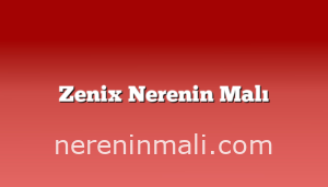 Zenix Nerenin Malı