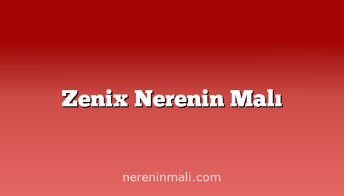 Zenix Nerenin Malı