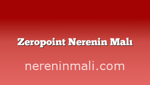 Zeropoint Nerenin Malı