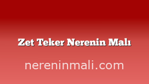 Zet Teker Nerenin Malı