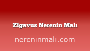 Zigavus Nerenin Malı