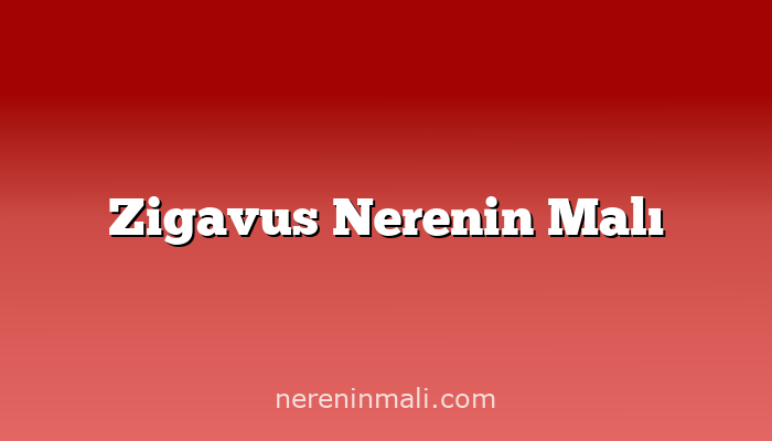 Zigavus Nerenin Malı