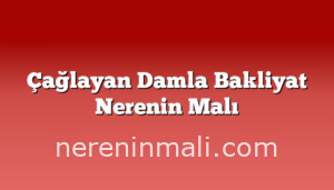 Çağlayan Damla Bakliyat Nerenin Malı