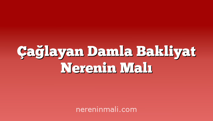 Çağlayan Damla Bakliyat Nerenin Malı