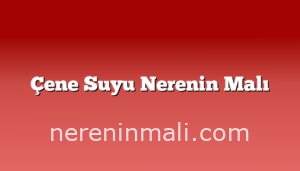 Çene Suyu Nerenin Malı