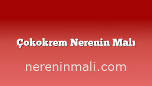 Çokokrem Nerenin Malı