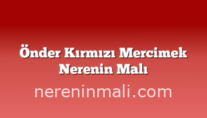 Önder Kırmızı Mercimek Nerenin Malı