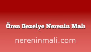 Ören Bezelye Nerenin Malı