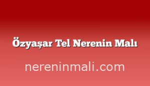 Özyaşar Tel Nerenin Malı