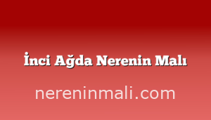 İnci Ağda Nerenin Malı