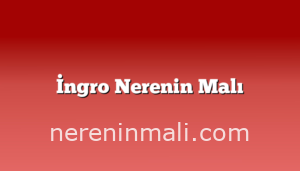 İngro Nerenin Malı