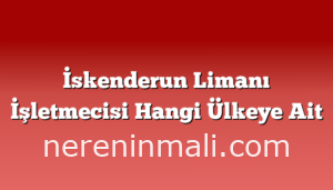 İskenderun Limanı İşletmecisi Hangi Ülkeye Ait