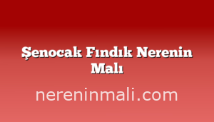 Şenocak Fındık Nerenin Malı