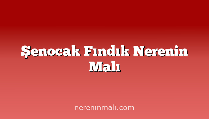 Şenocak Fındık Nerenin Malı