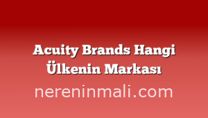 Acuity Brands Hangi Ülkenin Markası