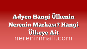 Adyen Hangi Ülkenin Nerenin Markası? Hangi Ülkeye Ait