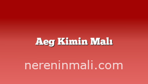 Aeg Kimin Malı