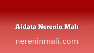 Aidata Nerenin Malı