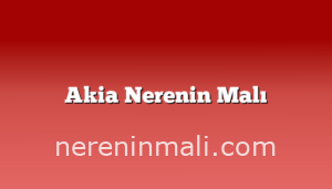 Akia Nerenin Malı