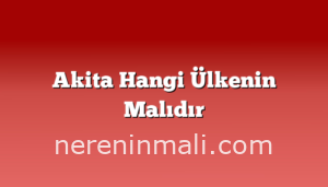 Akita Hangi Ülkenin Malıdır