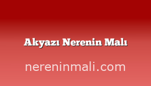 Akyazı Nerenin Malı