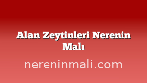 Alan Zeytinleri Nerenin Malı