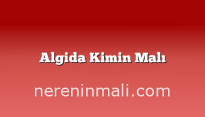 Algida Kimin Malı