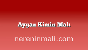 Aygaz Kimin Malı