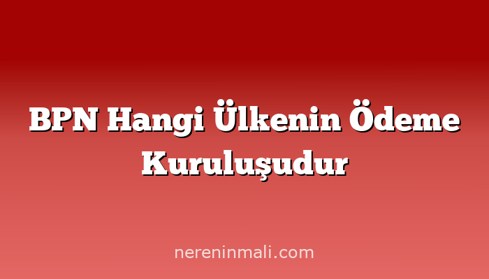 BPN Hangi Ülkenin Ödeme Kuruluşudur