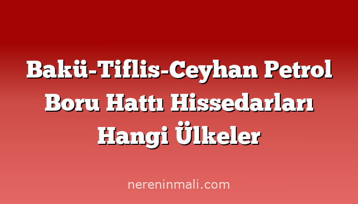 Bakü-Tiflis-Ceyhan Petrol Boru Hattı Hissedarları Hangi Ülkeler