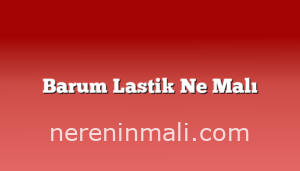 Barum Lastik Ne Malı