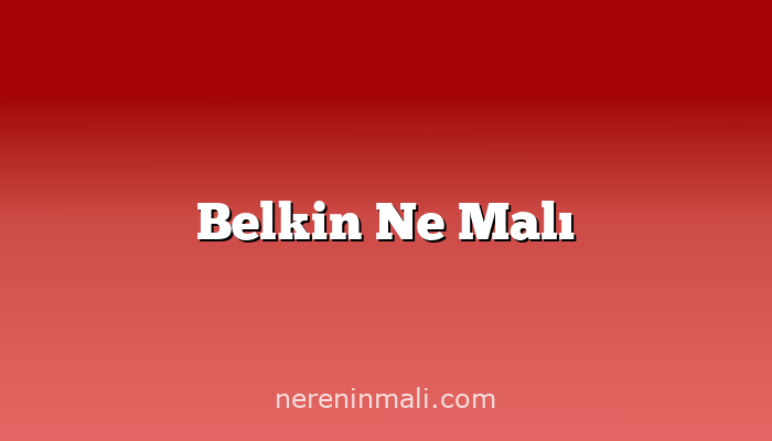 Belkin Ne Malı