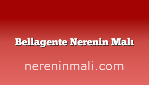 Bellagente Nerenin Malı