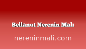 Bellanut Nerenin Malı