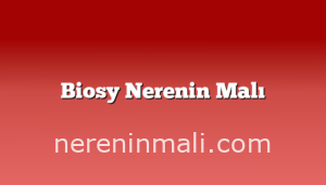 Biosy Nerenin Malı