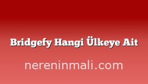 Bridgefy Hangi Ülkeye Ait