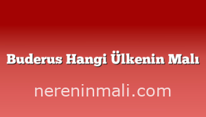 Buderus Hangi Ülkenin Malı