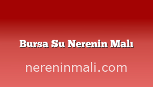 Bursa Su Nerenin Malı