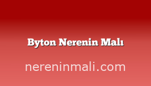 Byton Nerenin Malı