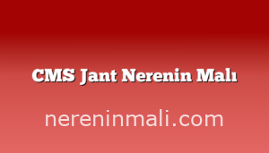 CMS Jant Nerenin Malı