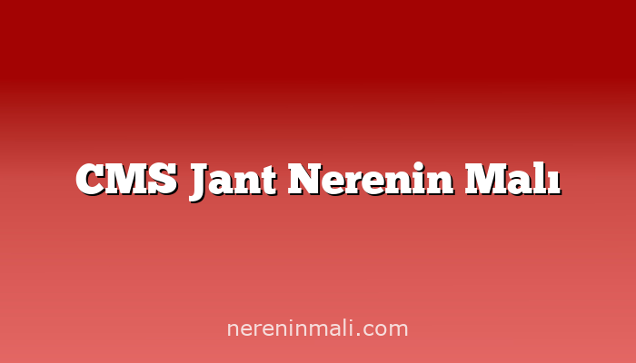 CMS Jant Nerenin Malı