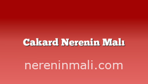 Cakard Nerenin Malı