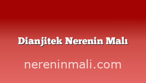 Dianjitek Nerenin Malı