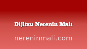 Dijitsu Nerenin Malı